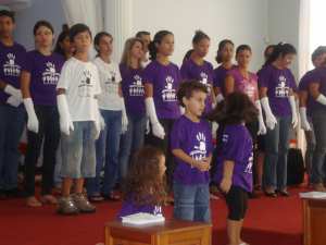 PIB(20)